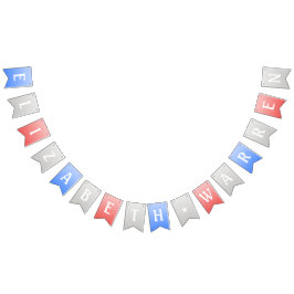 Bandeirinha faixa do partido elizabeth Warren