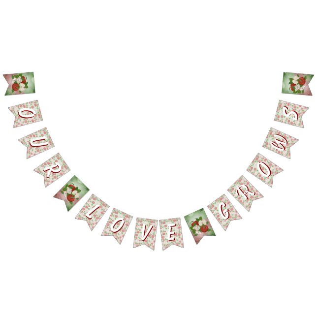 Bandeirinha Fall Orchard Apple Harvest Birthday Bunting Banner (Todos)