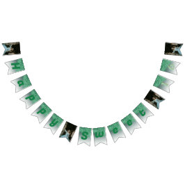 Bandeirinha Festa Doce 16, Diminuição do brilho verde e 4 foto