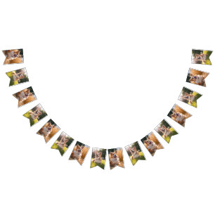 Bandeirinha Foto de Animal de Estimação Personalizada