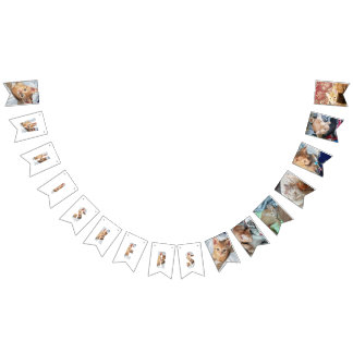 Bandeirinha Foto de gatinho