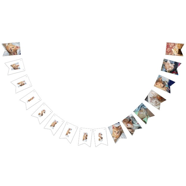 Bandeirinha Foto de gatinho  (Todos)