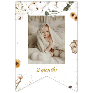 Bandeirinha Foto mensal de aniversário da Onderland de inverno