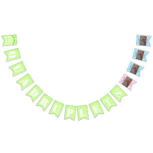 Bandeirinha Fotos das Estórias de Nascimento de Garota Quadrup