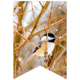 Bandeirinha Frango de Capa Preta - Fotografia Original