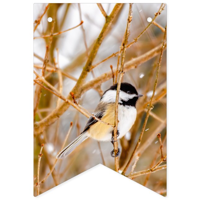 Bandeirinha Frango de Capa Preta - Fotografia Original (Primeira Bandeira)