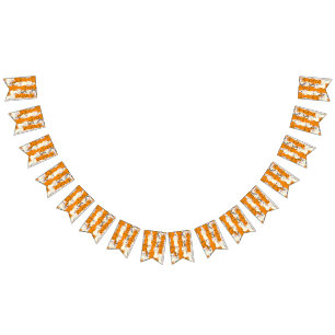 Bandeirinha Gatos brancos e gengibres padrão olhos verdes olho