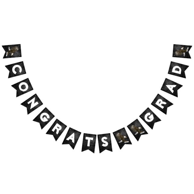 Bandeirinha Graduação 2025 Águia Bald Em Couro (Todos)