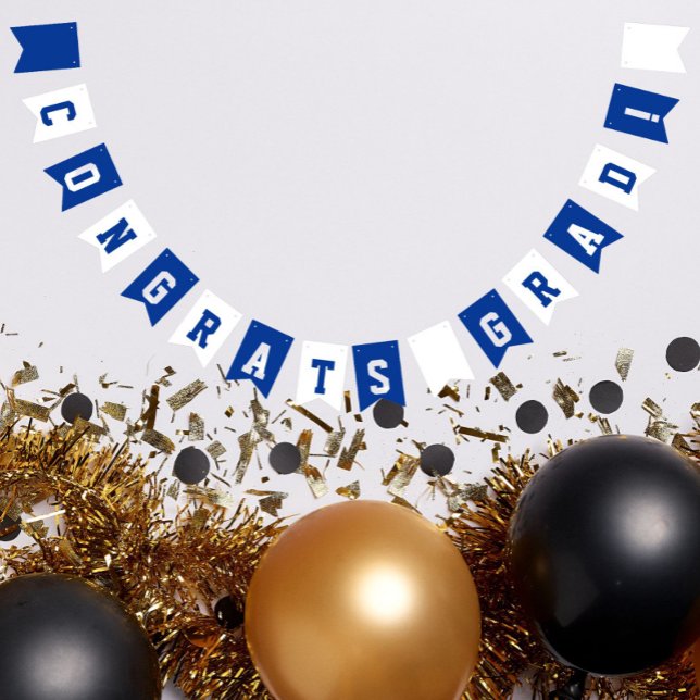 Bandeirinha Graduação de Cores da Escola Real Azul e Branco (In Situ)