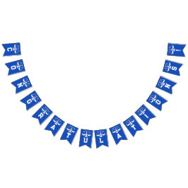 Bandeirinha Graduação na Faculdade de Direito