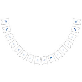 Bandeirinha Graduação Personalizável Simples Azul E Branco