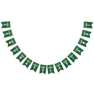 Bandeirinha Graduação Única na Faculdade de Direito