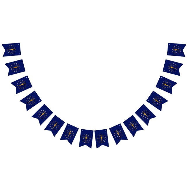 Bandeirinha Gráfico de Sinalizador Dinâmico do Estado de India (Todos)