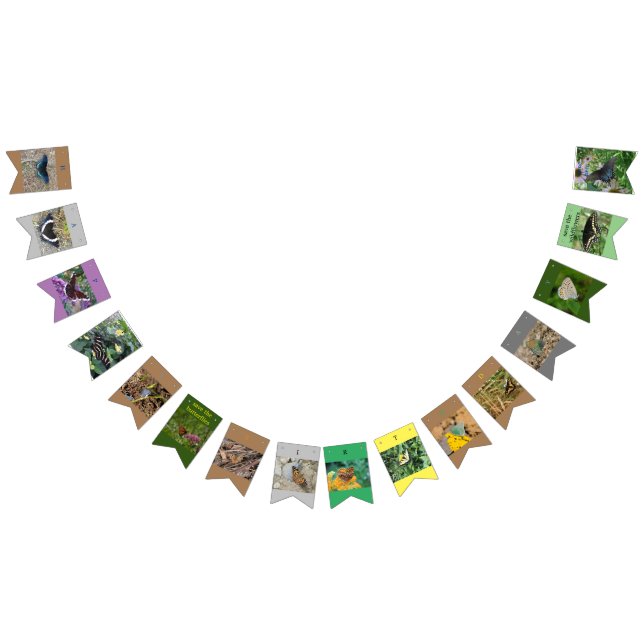 Bandeirinha Guarde a faixa de aniversário das borboletas (Todos)