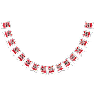 Bandeirinha Guarde Bem Cedo Estandarte de Bunting