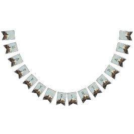 Bandeirinha Harry Potter Birthday