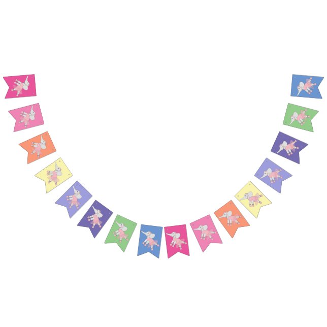 Bandeirinha Illusima Ballerina Elephant Rainbow Bunting Flags (Todos)