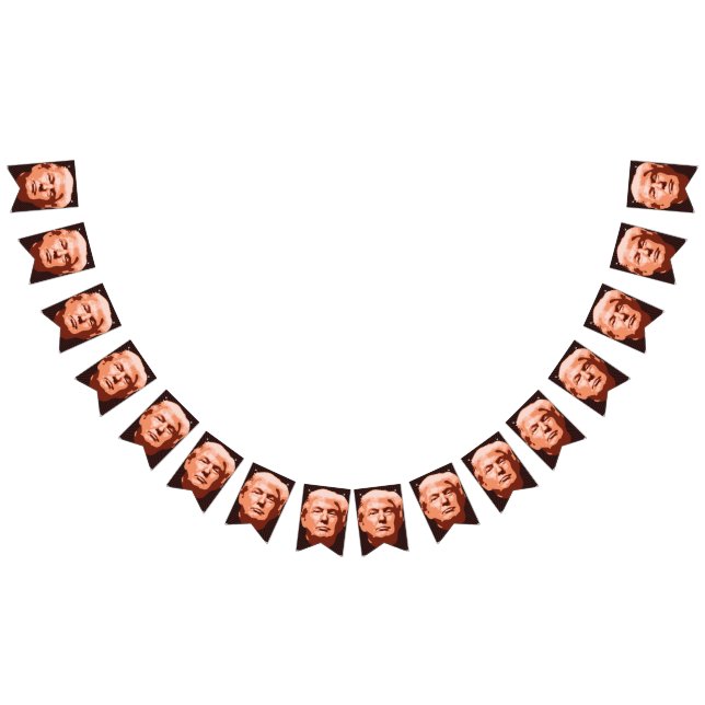 Bandeirinha Inauguração de Trump 2017 (Todos)