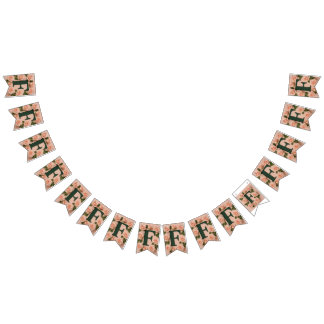 Bandeirinha Kit de Faixa de Bunting Personalizada para Festa c