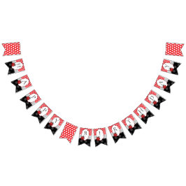 Bandeirinha Ladybug Happy Birthday