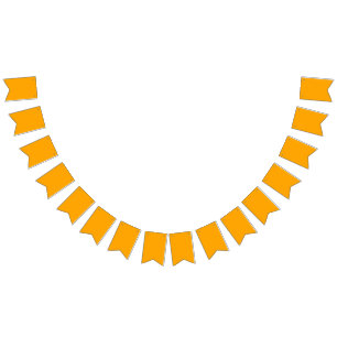 Bandeirinha Laranja Neon Cor Sólida Clássico
