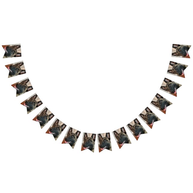 Bandeirinha Malinois Dog (Todos)