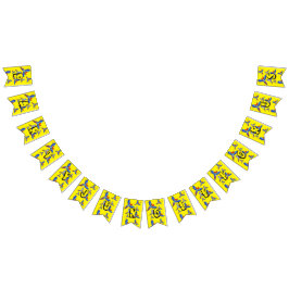 Bandeirinha Mikitiez parrot hawaii verão sunset Beach primaver