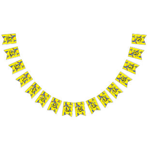 Bandeirinha Mikitiez parrot hawaii verão sunset Beach primaver