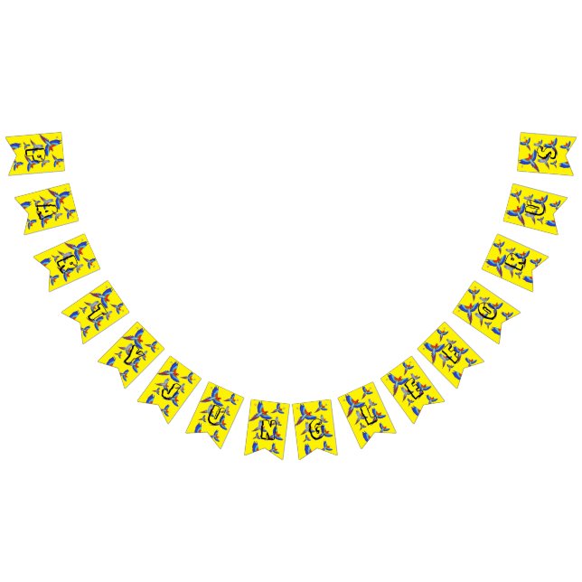 Bandeirinha Mikitiez parrot hawaii verão sunset Beach primaver (Todos)