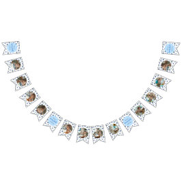 Bandeirinha Milestone de Foto do Aniversário do Blueberry 12 M