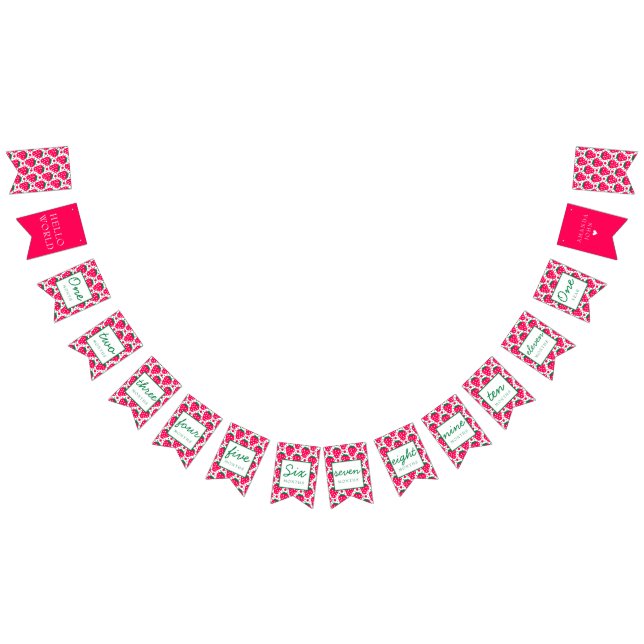 Bandeirinha Milestones do primeiro aniversario Berry Girl (Todos)