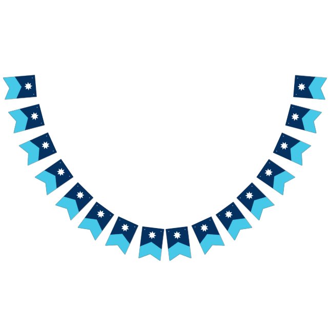 Bandeirinha Minnesota State Flag Penant Bunting (Todos)