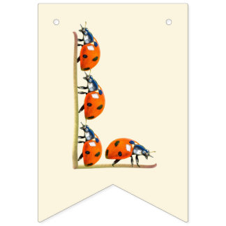 Bandeirinha Nosso Inseto de Amor Banner de aniversário Ladybug