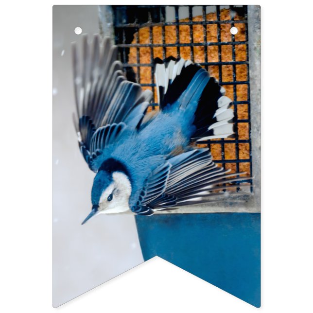 Bandeirinha Nuthatch Branca em Neve - Foto original (Primeira Bandeira)