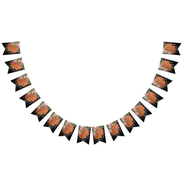 Bandeirinha O início do outono (Todos)