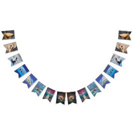 Bandeirinha Orca Bunting Banner