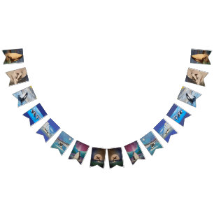 Bandeirinha Orca Bunting Banner