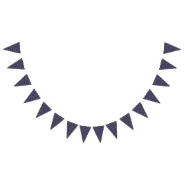 Bandeirinha  Outer Space Starry Birthday for Kids Party