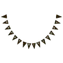 Pandas Vermelhas na Floresta Negra