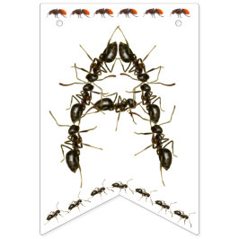 Bandeirinha Parabéns, Inseto de aniversário.