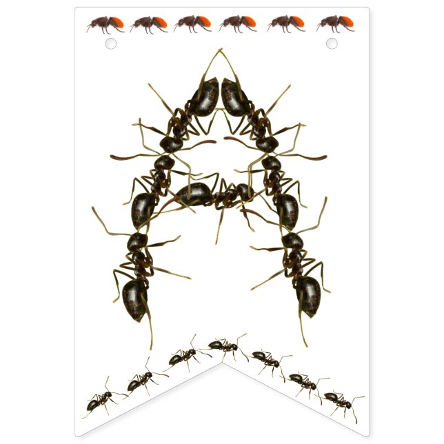 Bandeirinha Parabéns, Inseto de aniversário. (Terceira bandeira)