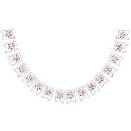 Bandeirinha Patriotic Summer July 4th bunting
