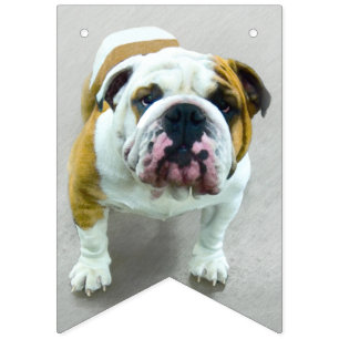 Bandeirinha Pintura de Buldogue - Arte de Cachorro Original Bo