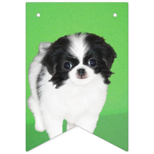 Bandeirinha Pintura De Cachorro Japonês - Arte Original De Cac