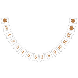 Bandeirinha Primeiro Aniversário do Bear Meses