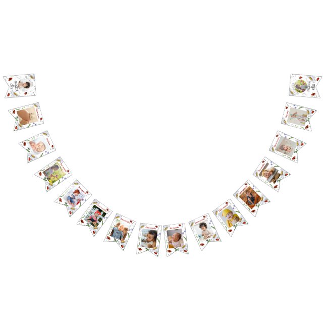 Bandeirinha Primeiro aniversario Ladybug Pedra Magro de Cores  (Todos)