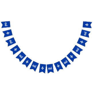 BANDEIRINHA QUEBEC OUI