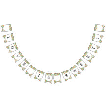 Satsuma Charcarboneto Principal Chá de panela de C