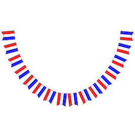 Bandeirinha Semiquincentennial Stars & Stripes 250th