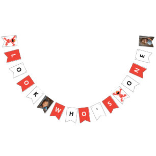 Bandeirinha Sésame Street Elmo Aniversário do Crayon